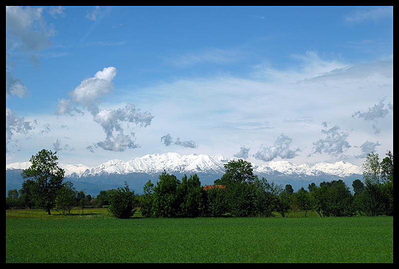 Cielo e prato